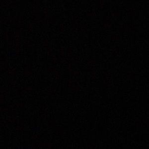 Meet your Posher, Riley